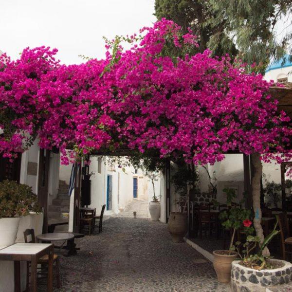 Villa Orpheus Santorini 梅加洛克里 外观 照片